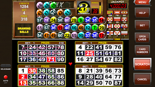 Video Bingo Reall X Flex Screen 3