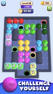 Rolling in Holes 5