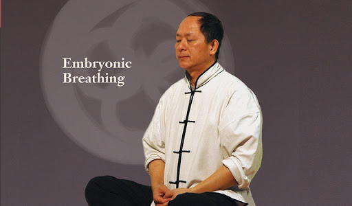 Embryonic Breathing Qigong Unknown
