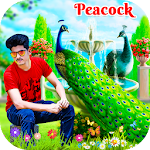 Cover Image of Télécharger Peacock Photo Editor 1.0 APK