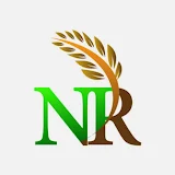 NR Cash icon