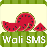 Wali SMS-Fresh summer theme icon