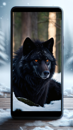 Android application Wolf Wallpapers 4K HD screenshort