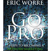 Go Pro by Eric Worre