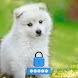 子犬のロック画面 - Androidアプリ