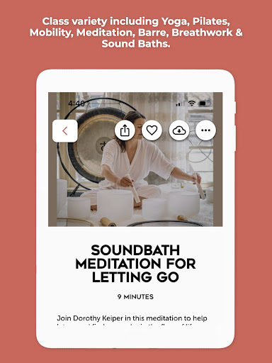 Screenshot of RENEW with Riva