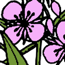 Icon image Yukon Wildflowers