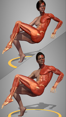アクションの解剖学 Lite  - アーティストのための最高のおすすめ画像2