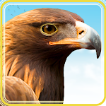 Cover Image of Descargar Bird Hunting 2021: Sniper 3D Hunter Games  APK