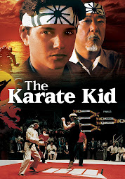 Icon image The Karate Kid