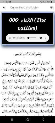 Full Quran Abdulbasit Offline Screen 3