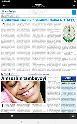 DailyTrust ePaper Screen 3