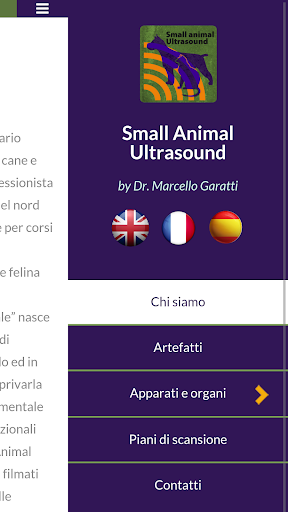 Small Animal Ultrasound Screen 2