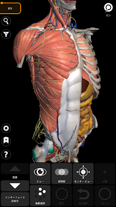 解剖学 - 3Dアトラスのおすすめ画像1