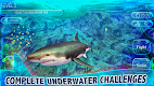 screenshot of Real Shark Life - Shark Sim