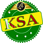 Cover Image of Download VIP KSA VPN 1.4 APK