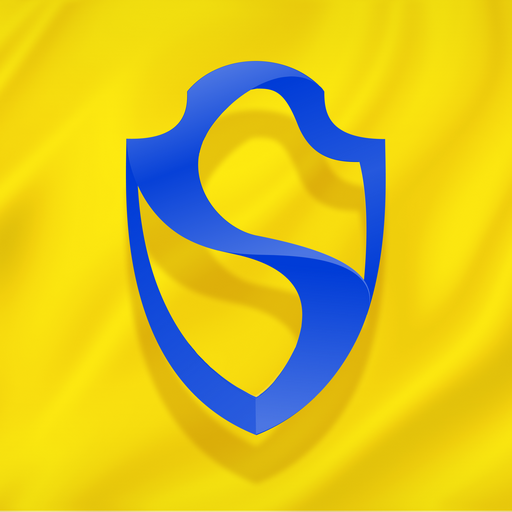 Dream Security - Car Security logo