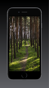 Tree Wallpaper HD, GIF