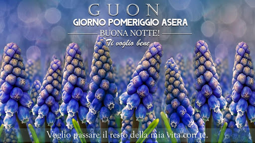 Android application Morning Noon Night in Italian screenshort