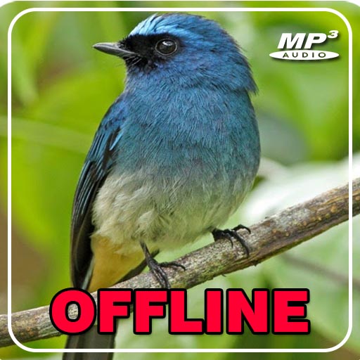 Masteran Selendang Biru Gacor logo