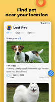 screenshot of Lost Pet — find my lost pet