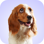 Cover Image of Скачать Dog Whining Sounds  APK