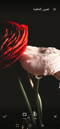 أجمل الخلفيات و الصور للورود