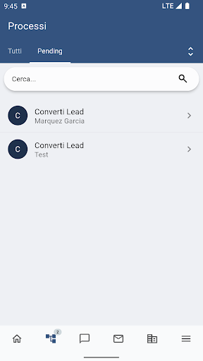 Wilson for eSOLVER CRM Screen 3