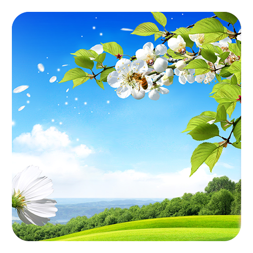 Spring Live Wallpaper Apps On Google Play
