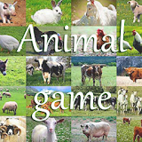 Animal Game IT Free icon