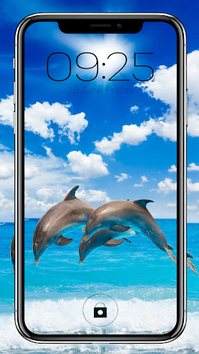 Android application Fish Dolphin Wallpapers screenshort