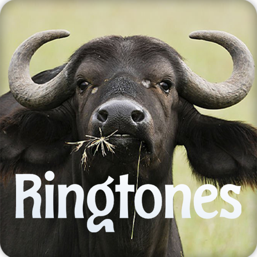 Buffalo Sound RIngtones