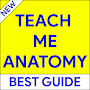 Teach Me Anatomy – Learn Anatomy