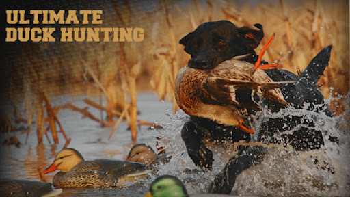 Logo https://play-lh.googleusercontent.com/TvjER96aiRqqG_gDcv4lMxB5v-RfbjZR8Mf9j3NEojQZV_vifP_XEyEIXEno2ysddds