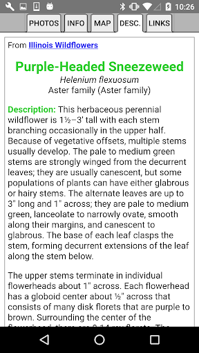 South Carolina Wildflowers