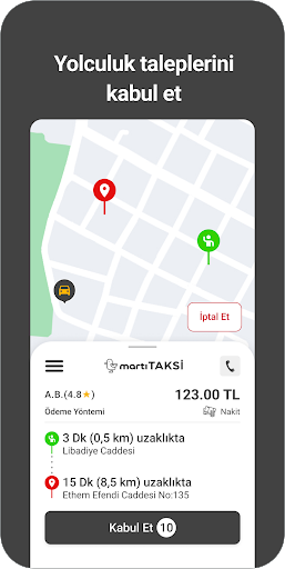 Martı Taksi Sürücü screenshot 5