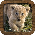 Cover Image of 下载 Animal Sounds  APK