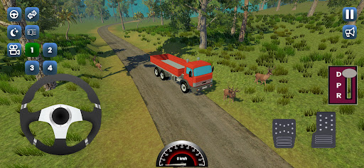 Truck Simulation India