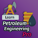 Petroleum Engineering (Pro)