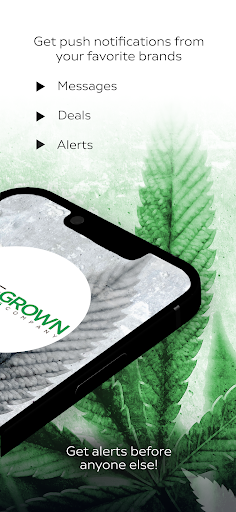 Homegrown Cannabis Co Screen 2