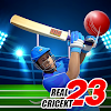 Real World Cup ICC Cricket T20 icon