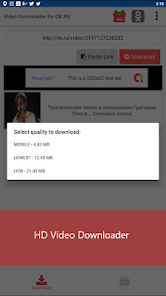 Screenshot image
