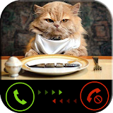 Phone call from cat icon