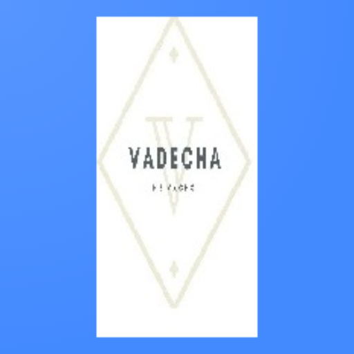 Vadecha Ne Vacho News App