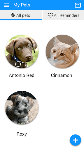 Dr Carrs Dog & Cat Repair Screen 3