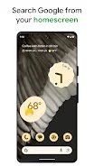 Google screenshot 1
