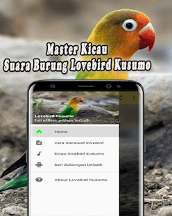 MP3 Lovebird Kusumo(圖1)-速報App