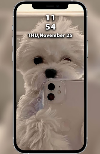 Puppy & Dog Wallpapers HD Screenshot 2 - AppWisp.com