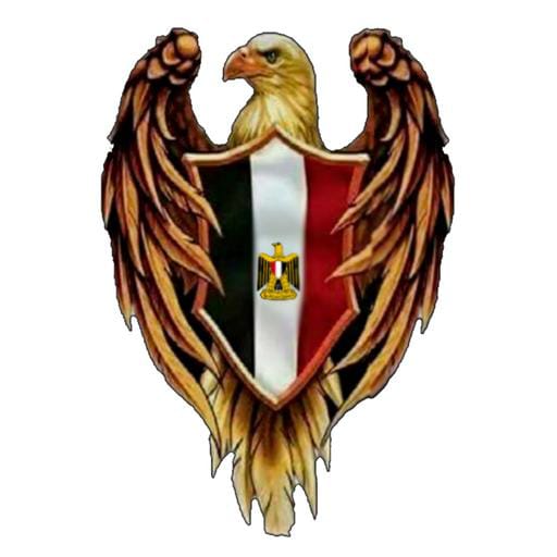 السيف مصر الوطنية للأمن logo