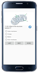 Snímek 3 Cell Biology-101 android